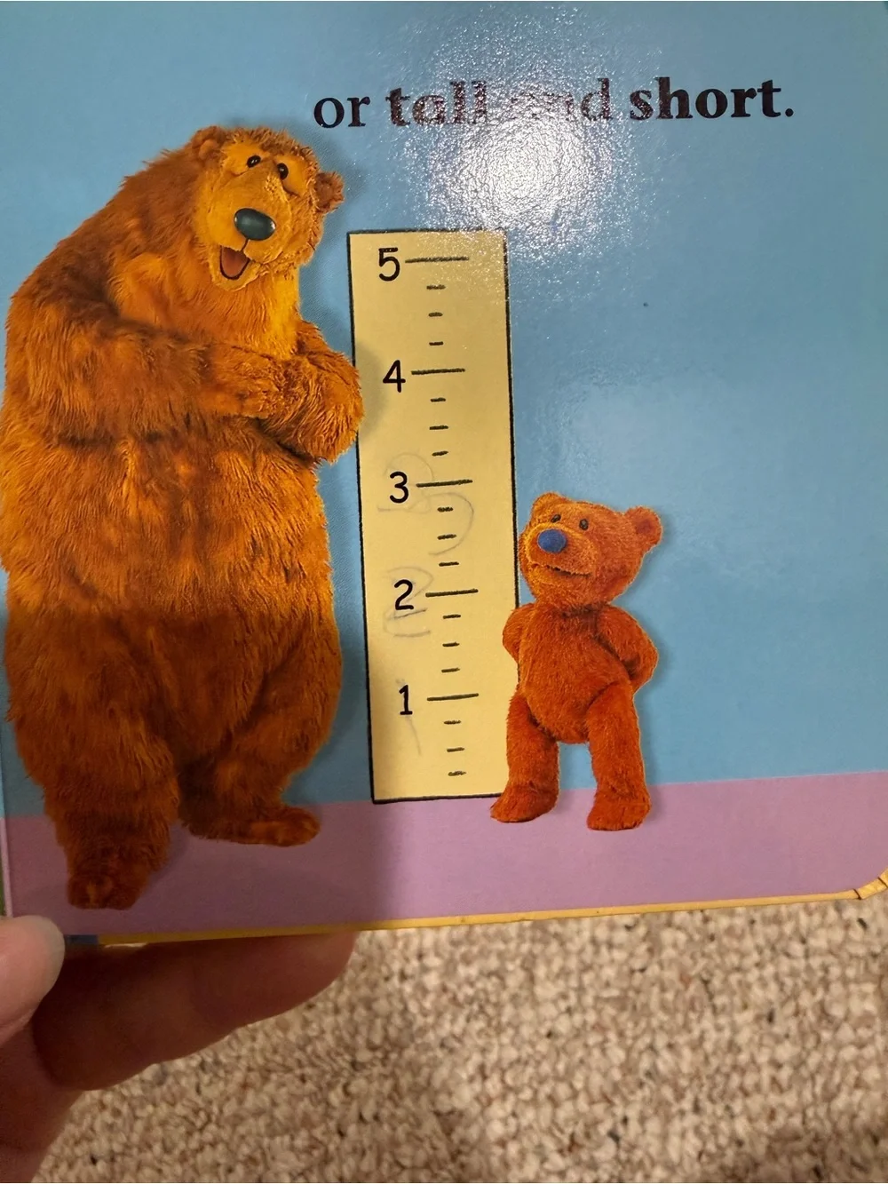 Bear Loves Opposites! Board Book - bear in the big blue house - Picture 7 of 7